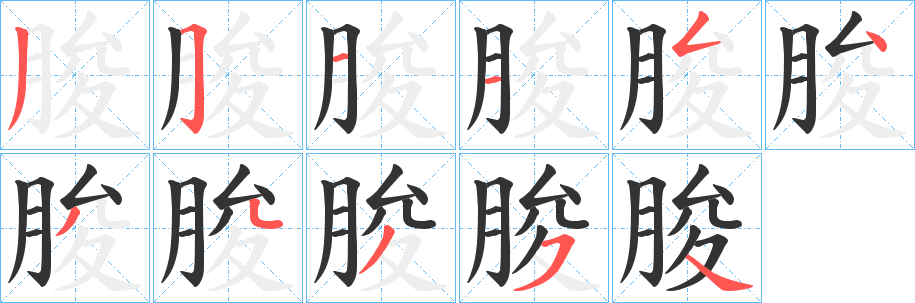 朘字笔顺的正确写法图