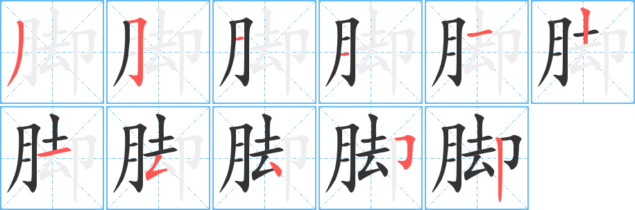 脚字笔顺的正确写法图