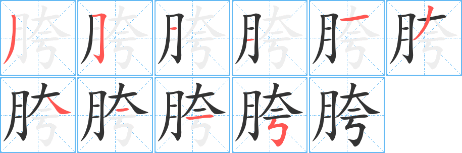 胯字笔顺的正确写法图