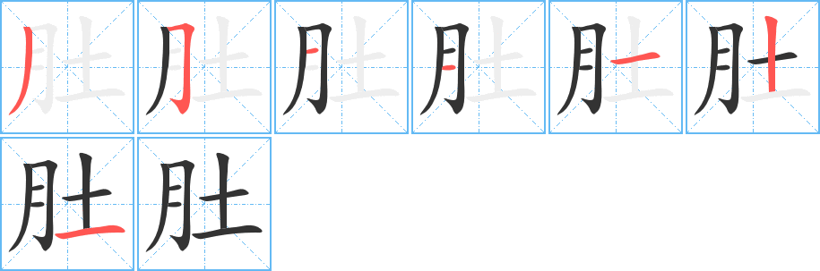 肚字笔顺的正确写法图