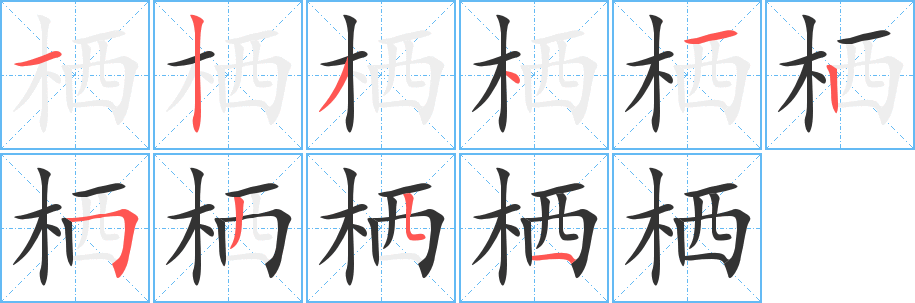 栖字笔顺的正确写法图