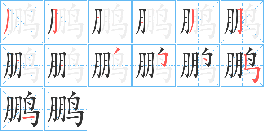鹏字笔顺的正确写法图