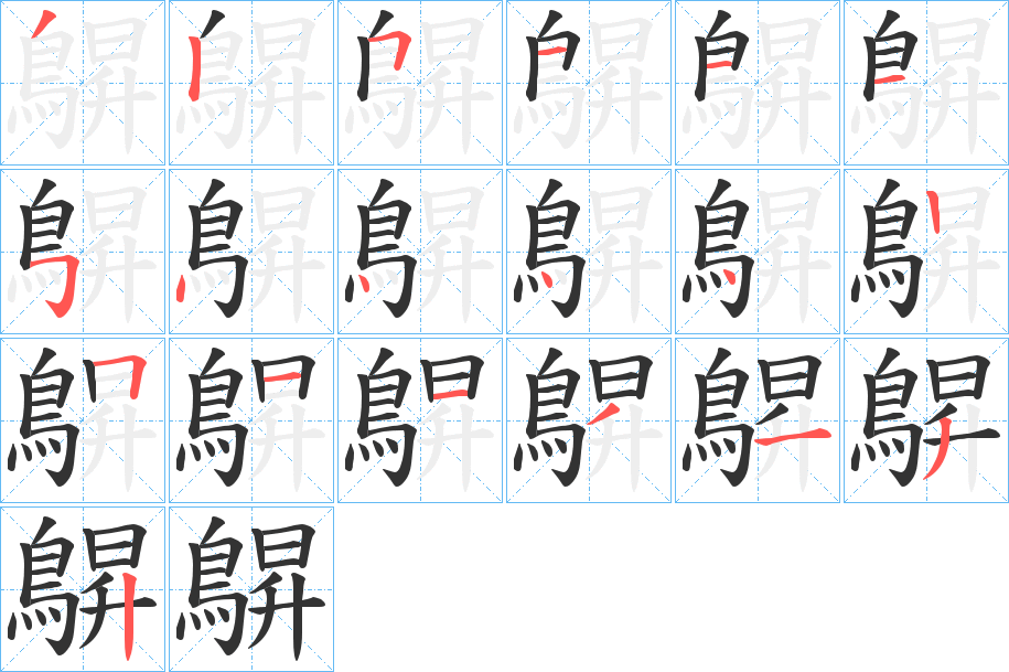 鵿字笔顺的正确写法图