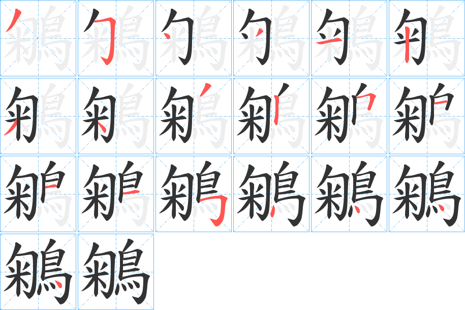 鵴字笔顺的正确写法图