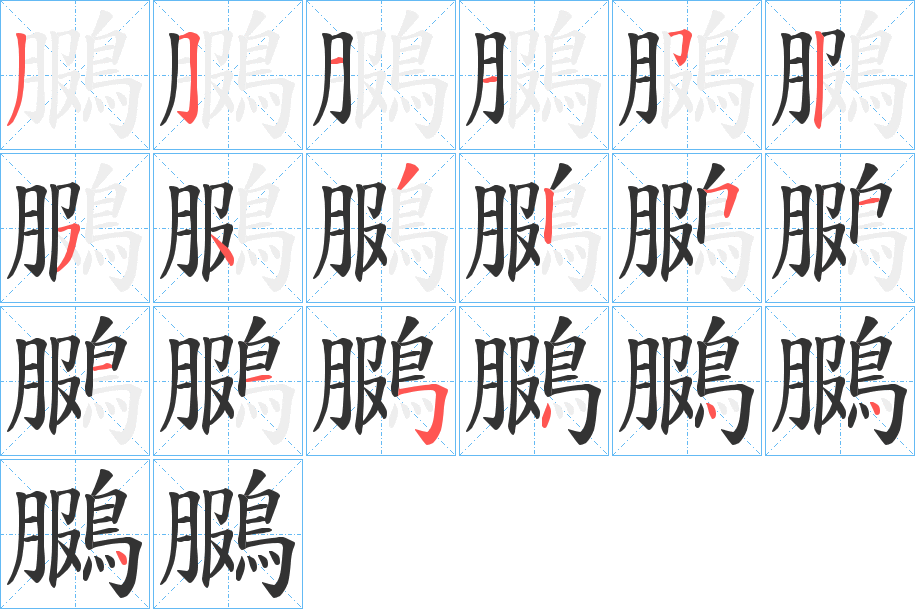 鵩字笔顺的正确写法图