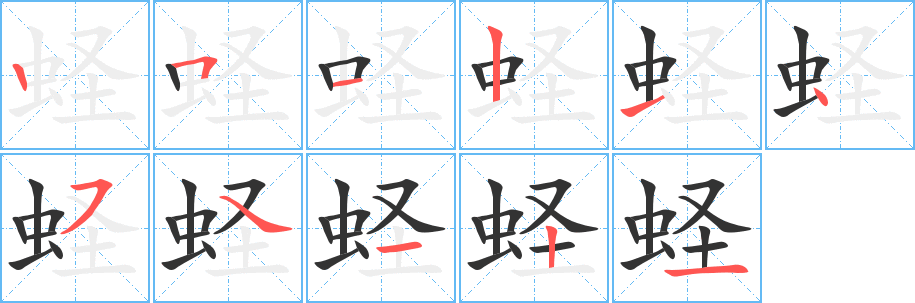蛏字笔顺的正确写法图
