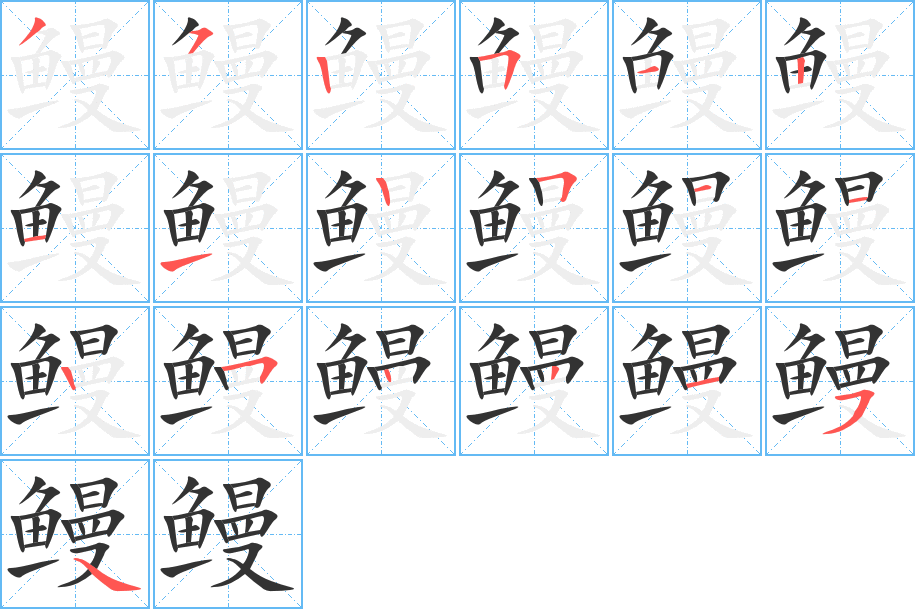 鳗字笔顺的正确写法图