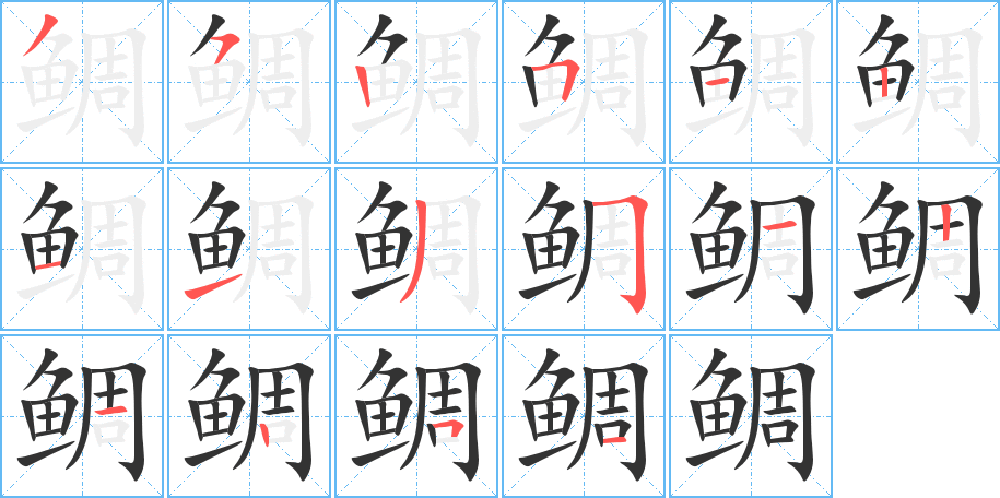 鲷字笔顺的正确写法图