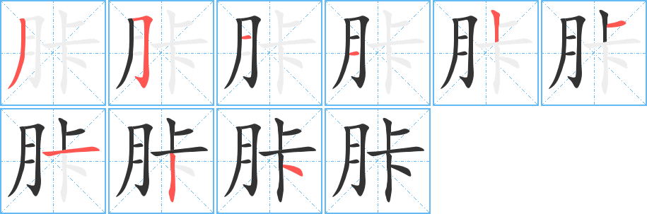 胩字笔顺的正确写法图