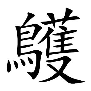 鸌